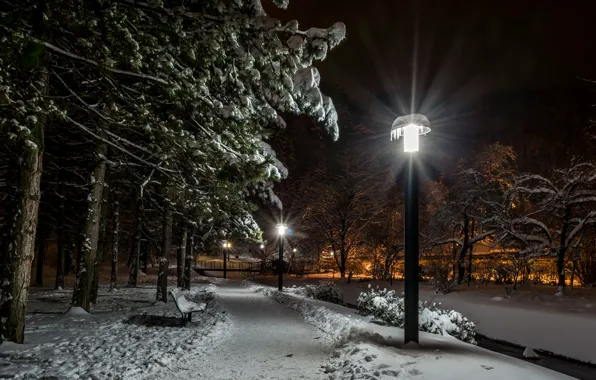 Картинка зима, снег, деревья, скамейка, ночь, огни, парк, фонари