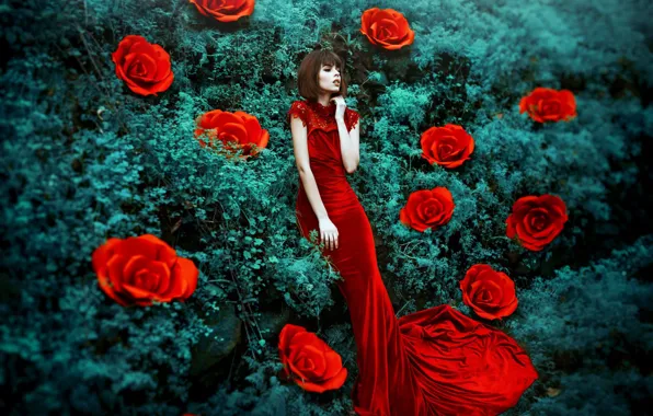 Картинка девушка, цветы, стиль, настроение, розы, красное платье, Maria Eugenia