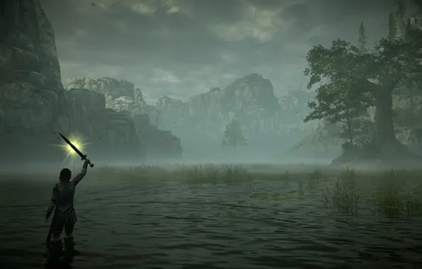 Туман, болото, Shadow of the Colossus, В тени колосса
