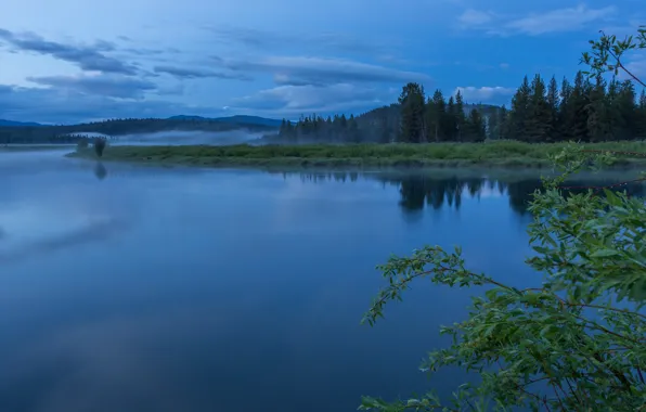 Лес, небо, облака, деревья, туман, отражение, река, утро