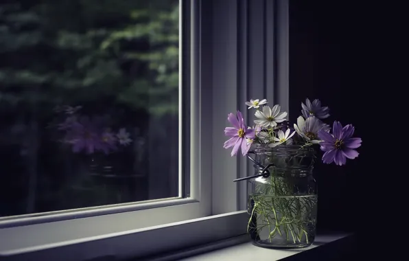 Картинка цветы, дом, окно