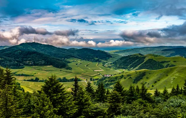 Небо, облака, деревья, поля, Германия, панорама, леса, плантации