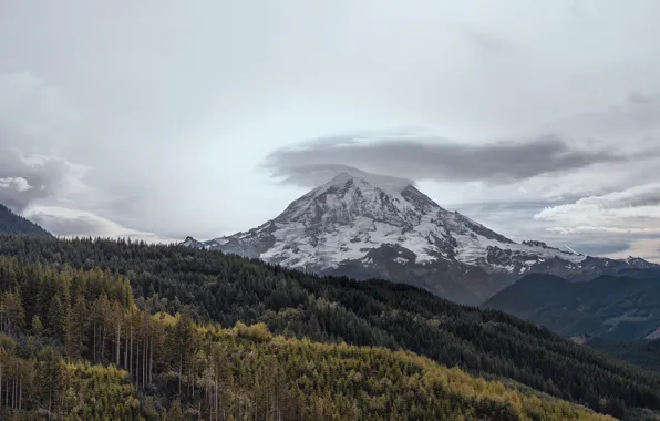 Лес, небо, горы, тучи, OREGON STATE