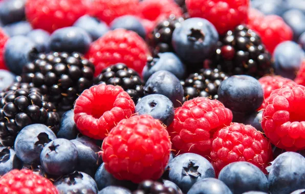 Обои ягоды, малина, черника, клубника, ежевика, berries, blueberries, strawberries