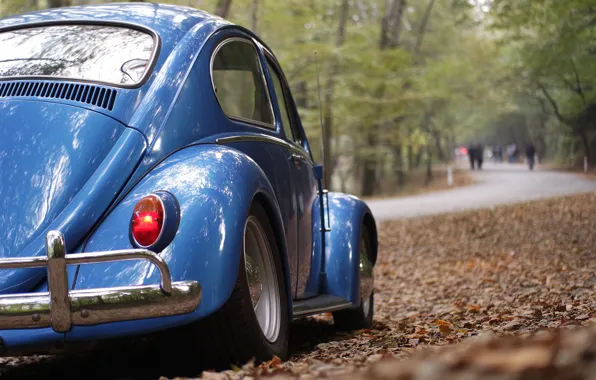 Картинка дорога, жук, classic, volkswagen beetle