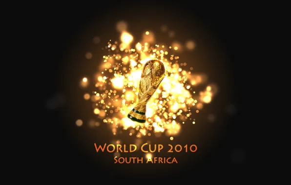 Футбол, 2010, fifa world cup