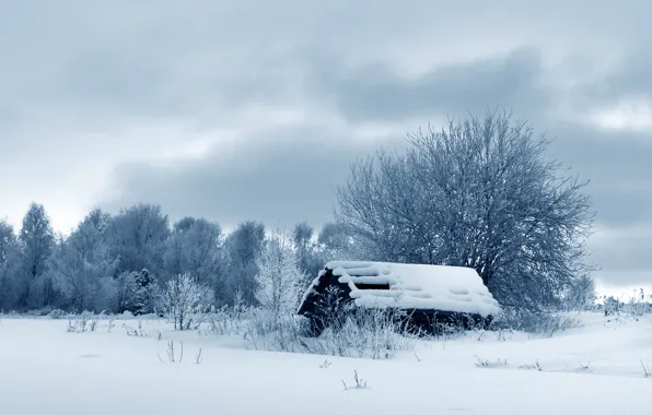 Картинка зима, снег, деревья, природа, избушка, nature, winter, snow