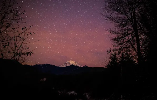 Лес, звезды, горы, панорама, Rainier National Park