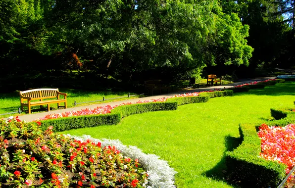 Green, park, flowers, color, bench
