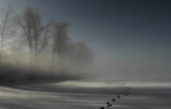 Картинка зима, снег, следы, туман