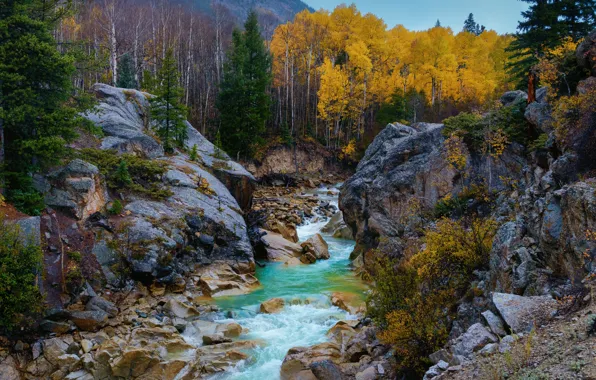 Картинка осень, деревья, река, камни, скалы, Колорадо, Colorado, Скалистые горы