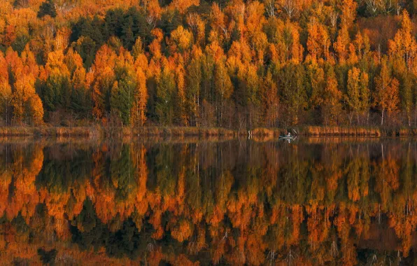 Картинка осень, лес, деревья, природа, отражение, люди, лодка