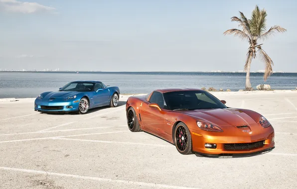 Картинка небо, облака, оранжевый, пальма, голубой, берег, Z06, Corvette