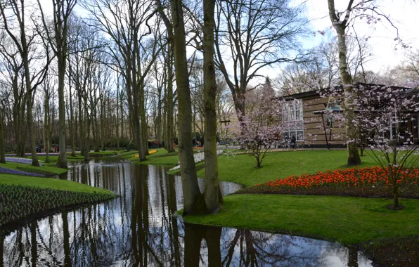 Holland, Keukenhof, Niederlande, Blumenhof