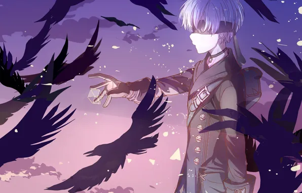 Птицы, мальчик, вороны, Nier Automata, YoRHa No 9 Type S