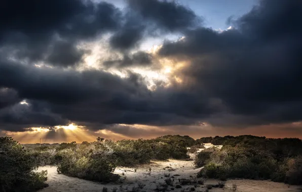 Punta Entinas-Sabinar, Atardecer en Punta Entinas, Ocaso en las dunas