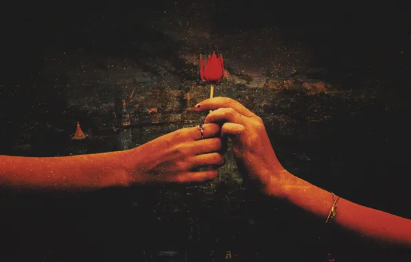 Цветок, любовь, красный, фон, роза, Love, руки, арт
