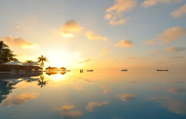 Nature, sunset, lake