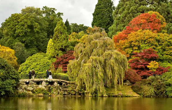 Осень, деревья, мост, пруд, парк, камни, Великобритания, Sheffield Park Garden