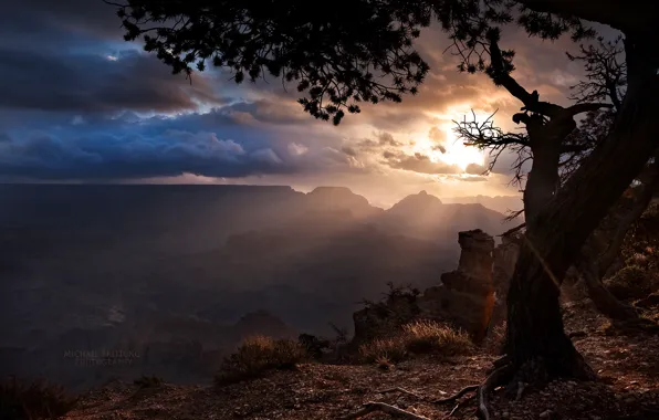 Тучи, дерево, лучи солнца, штат Аризона, Гранд каньон