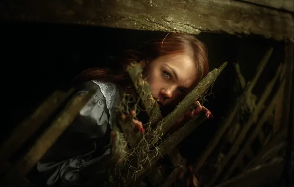 Девушка, прятки, TJ Drysdale, Hide &amp; Seek