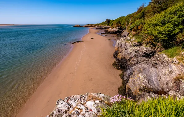Картинка море, зелень, небо, трава, цветы, камни, побережье, горизонт