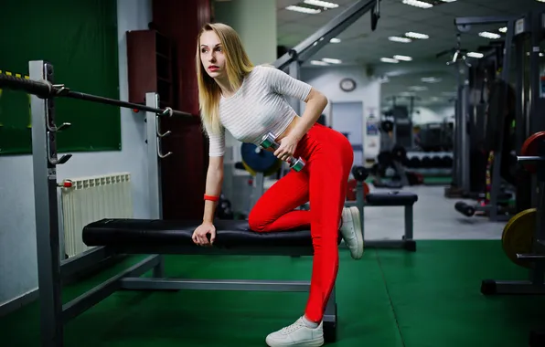 Sport, girl, woman, young, workout, fitness, gym
