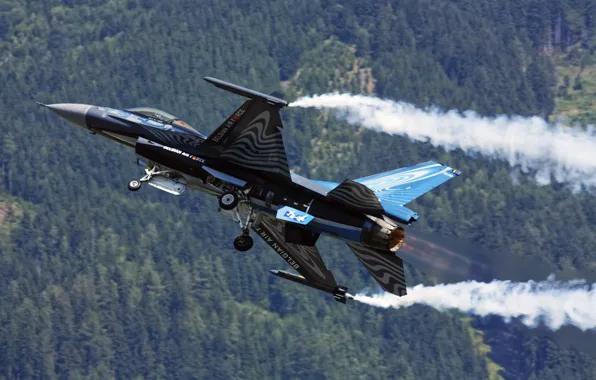 Истребитель, Fighting Falcon, многоцелевой, F-16AM