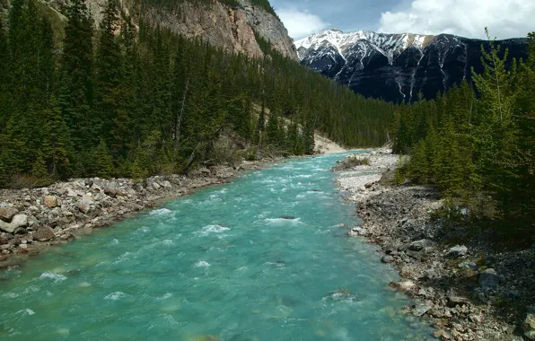 Лес, небо, облака, деревья, горы, река, Canada, Icefields Parkway