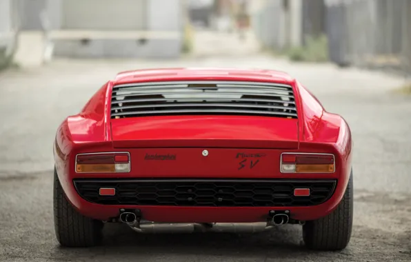 Картинка Lamborghini, 1971, rear, Miura, Lamborghini Miura P400 SV