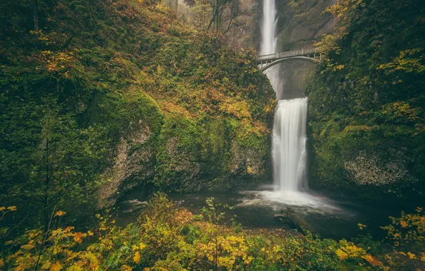 Картинка осень, мост, скала, водопад, Орегон, Oregon, Columbia River Gorge, водопад Малтнома