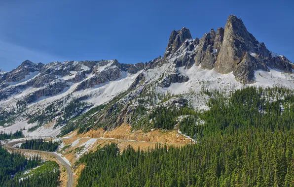 Картинка дорога, лес, горы, Washington, North Cascades, Liberty Bell Mountain
