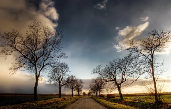 Дорога, небо, деревья