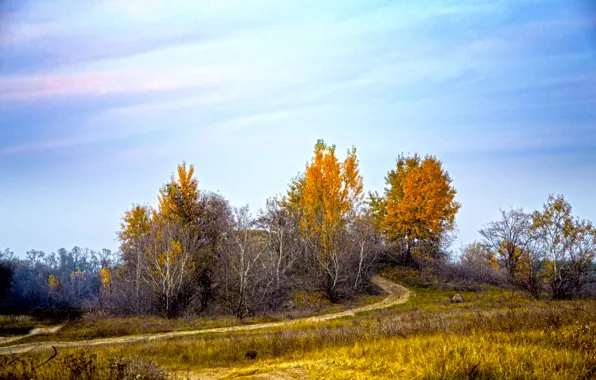 Поле, природа, Осень, дорожка, field, autumn, path, fall