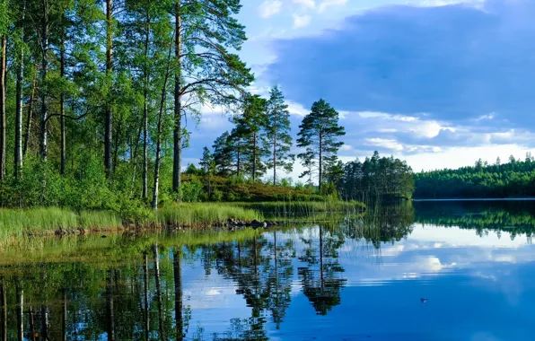 Природа, Озеро, Пейзаж