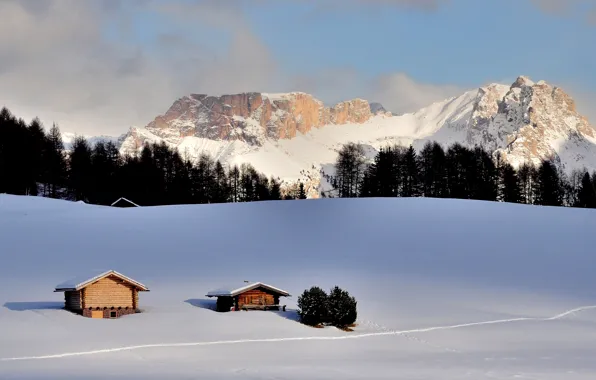 Снег, деревья, горы, дома, trees, mountains, snow, houses
