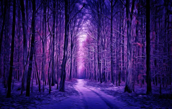 Картинка зима, лес, digital painting, winter forest