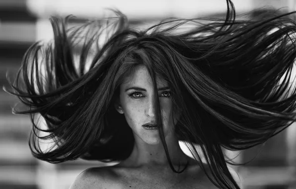 Картинка девушка, фото, ветер, волосы, черно-белое