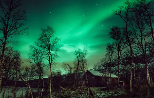 Northern lights, cabin, hut, aurora borealis