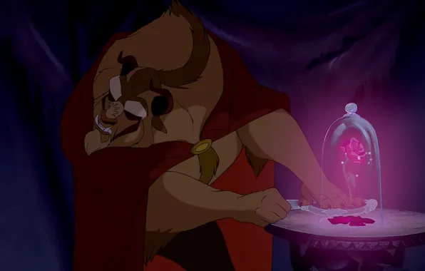 Rose, pain, table, mirror, Beauty and The Beast