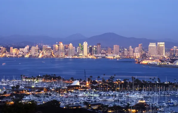 City, город, USA, California, San Diego