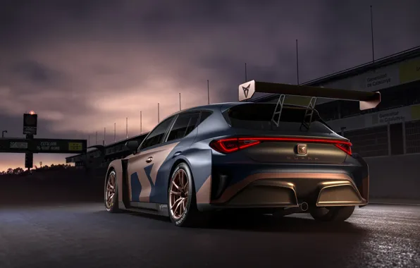 Вечер, вид сзади, Leon, Competition, Seat, Cupra, 2020