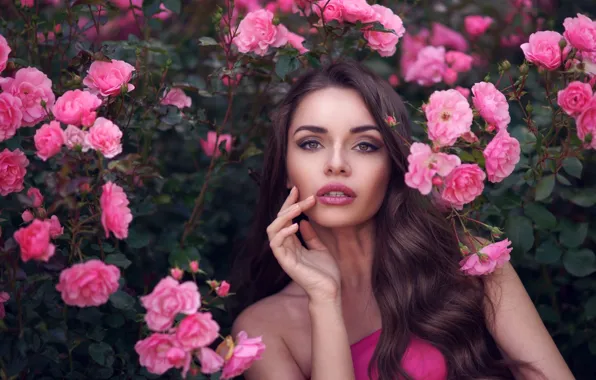 Картинка девушка, цветы, розы, макияж, брюнетка, прическа, красотка, кусты
