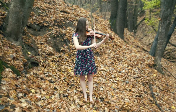 Картинка осень, девушка, музыка, скрипка