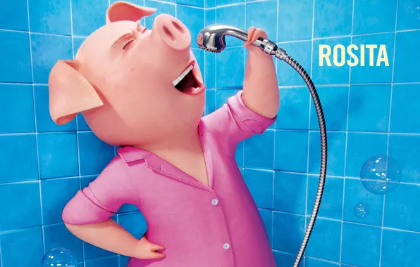 Film, animated film, pig, Universal Pictures, Illumination Entertainment, Rosita, Sing, cinema movie