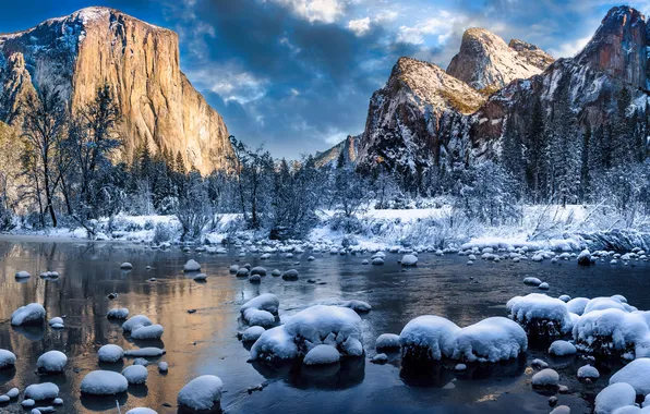 Картинка forest, river, trees, landscape, nature, California, winter, rocks