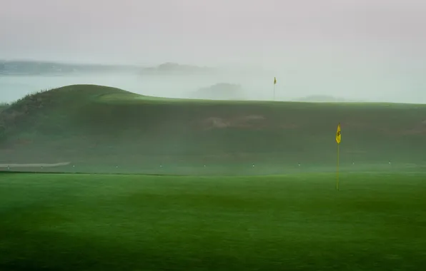 Поле, туман, спорт, гольф