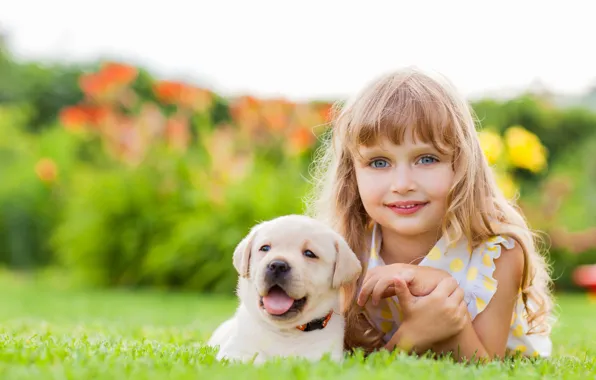 Лицо, улыбка, девочка, щенок, друзья, puppy, face, ретривер