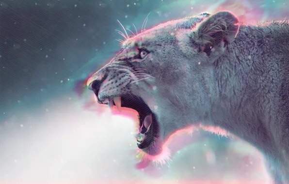 Лев, львица, крик, Lion