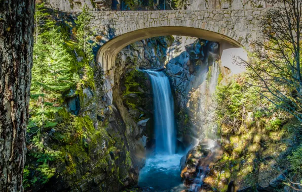 Картинка деревья, мост, камни, водопад, поток, Вашингтон, США, кусты